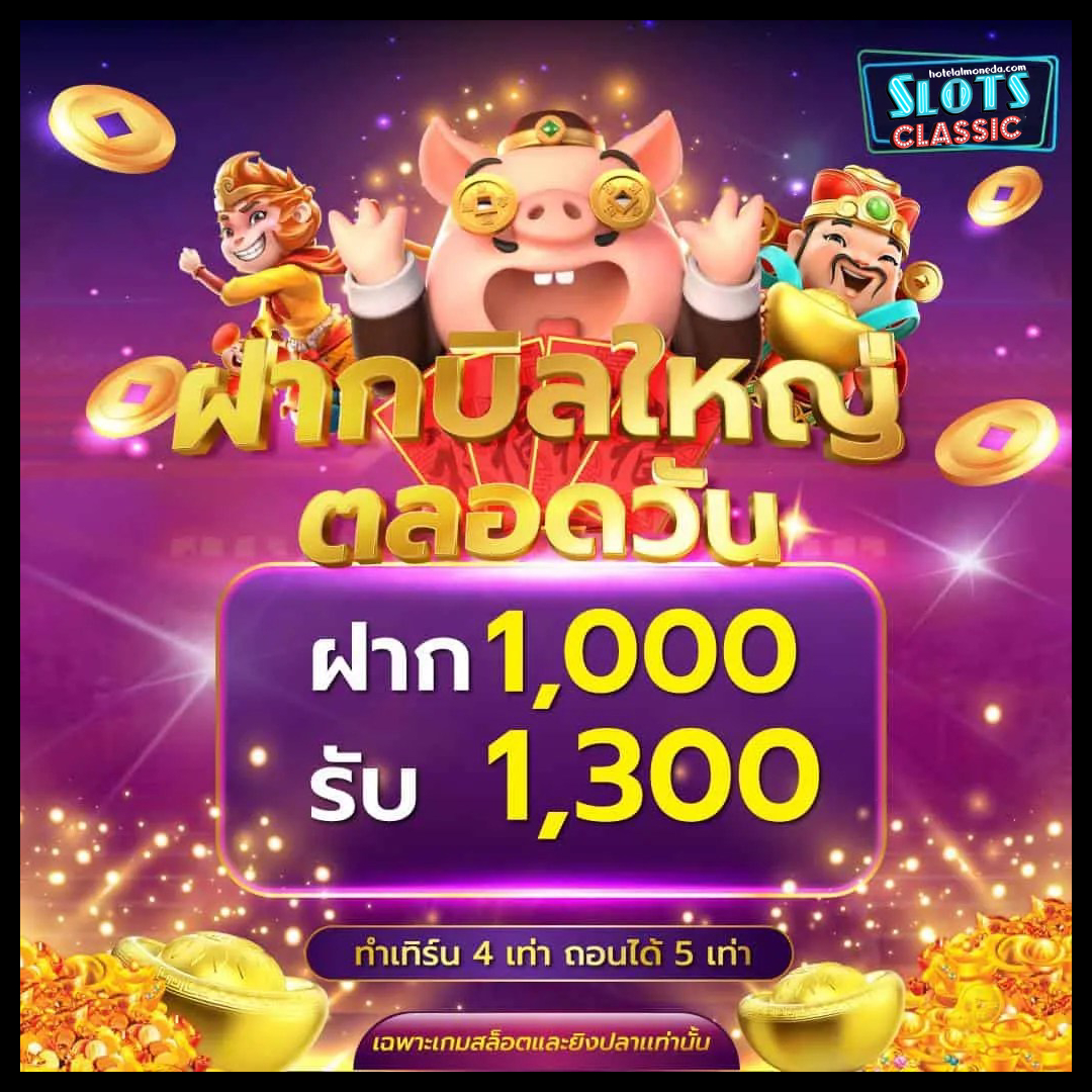 Promotion03-hotelalmoneda.com